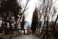De un viaje a un proyecto